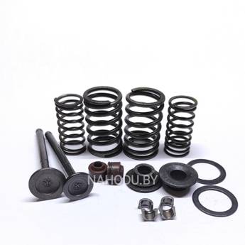 Клапана 4T (139QMB) GY6-50,GY6-60,GY6-80 комплект пружина,сухари,маслосъёмные колпачки (L=64mm)