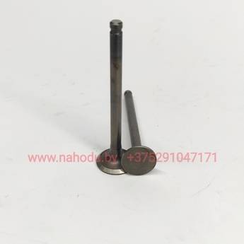 Клапана 4T (139QMB) GY6-50,GY6-60,GY6-80 (L=69mm)