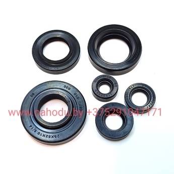 Сальники двигателя для мотороллера Муравей (в комплекте 6шт)