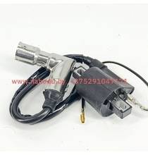 Катушка зажигания с колпачком 90гр 166FMM, (CB250), TTR 250 30191