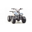 Квадроцикл ATV 110 EAGLE
