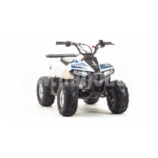 Квадроцикл ATV 110 EAGLE
